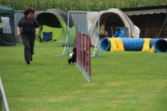 img_1349281161_445