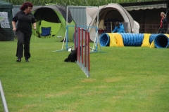 img_1349281217_991