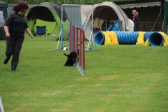 img_1349281273_104