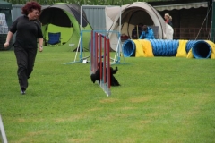 img_1349281301_22