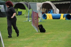 img_1349281413_208