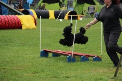 img_1349281569_669