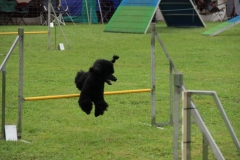 img_1349281596_200