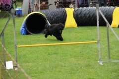 img_1349281653_494
