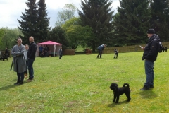 IMG-20160518-WA0009
