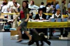 img_1322651725_975