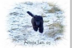 img_1322651730_701