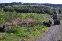 img_1337106326_181