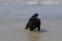 img_1317488446_815