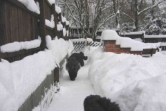 img_1322651505_723