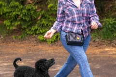 DogDance3