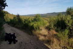 20190914_164940