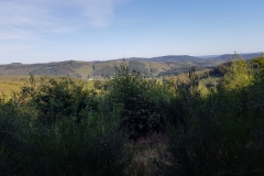 20190914_165149